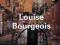 LOUISE BOURGEOIS (CONTEMPORARY ARTISTS) Herkenhoff