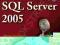 SQL SERVER 2005 BIBLE Paul Nielsen