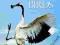 THE WORLD'S RAREST BIRDS (WILDGUIDES) Hirschfeld