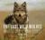 THE LAST WILD WOLVES: GHOSTS OF THE RAIN FOREST