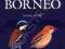 A FIELD GUIDE TO THE BIRDS OF BORNEO Susan Myers