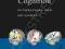 DEAF COGNITION: FOUNDATIONS AND OUTCOMES Marschark