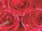 Okleina samoprzylepna szer.45cm- RÓŻE 12679