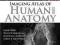 IMAGING ATLAS OF HUMAN ANATOMY Lonie Salkowski