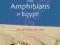 A GUIDE TO THE REPTILES AND AMPHIBIANS OF EGYPT