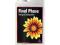 Final Phase 500ml, Advanced Nutrients