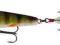 Savage Gear 3D Pop Prey66 6,6cm/7g F 04-Perch