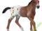 ŹREBIĘ RASY APPALOOSA SCHLEICH 13733