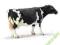 KROWA RASY HOLSTEIN SCHLEICH 13633
