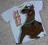 T-shirt SCOOBY-DOO 2/3 lata