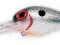 wobler STORM WIGGLE WART 7 cm, sum sandacz 4-7 m