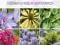 Katalog ozdobnych roślin ogrodowych - KsiegWwa