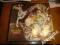 KATE BUSH NEVER FOR EVER LP UK 15