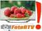 NOWOŚĆ 2014! TELEWIZOR 3D LG 55LA690S SMARTTV RATY