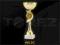 PUCHAR PUCHARY 28 cm TROFEA GRAWER WYS 24H 9012C