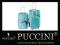 KOMPLET = DUŻA ŚREDNIA MAŁA WALIZKA PUCCINI PC 005