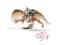 SCHLEICH 70107 Rycerz na gryfie