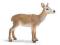 SCHLEICH 14630 SARNA new 2010