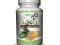 MYVITA ZIELONA KAWA EXTRACT 1000mg 60ka SKUTECZNIE