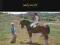 Harmonia jeźdzca i konia - Swift Sally