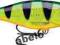 Wobler RAPALA SHAD RAP  SR09 FP 9cm 15g 2,4-4,5m