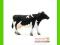 [MALAKO_PL] ANIMAL PLANET Krowa rasy holsztyńskiej