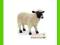 [MALAKO_PL] ANIMAL PLANET Owca czarnogłówka