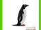 [MALAKO_PL] ANIMAL PLANET Pingwin białobrewy