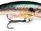 Rapala Deep Tail Dancer 11 cm kolor SD tanio !