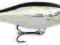 Wobler Rapala Shad Rap SSR-7 ALB PROMOCJA !!!