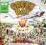 {{{ LP GREEN DAY - DOOKIE 180gram