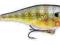WOBLER RAPALA SHAD RAP SSR05 BG WOBLER BYDGOSZCZ