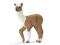 SCHLEICH 13705 Źrebię rasy Alpak