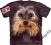 Yorkshire Terrier - THE MOUNTAIN - M