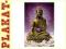 plakat-BUDDA (LOTUS) [PLAKAT]