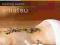 CD Muzyka Relaksacyjna Shiatsu SPA Folia