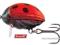 WOBLER SALMO LIL'BUG 3,0cm/4,3g - LADYBIRD !