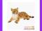[EMARKT_PL] ANIMAL PLANET Tygrysiątko leżące