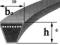 PASEK KLINOWY HZ-10x1500