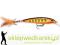 Wobler Rapala X-RAP 10cm-NAT/13g, Kolor: HMMD