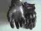 Rękawice ADRENALINE WIND M jak nowe TANIO POLECAM