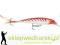 Wobler Rapala X-RAP 10cm-NAT/13g, Kolor: HRTU