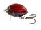 Wobler Salmo Lil-Bug 2 cm F  - BBG