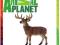 ANIMAL PLANET FIGURKA JELEŃ NIE SCHLEICH