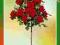 Róża sztamowa CZERWONA ----wyprzedaż------ kod 351