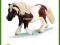 SCHLEICH KUCYK RASY SHETLAND