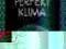 PREPARAT DO KLIMATYZACJI (ODŚWIEŻACZ KABINY)PERFEK