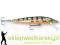 Wobler Rapala Husky Jerk 10cm-NAT/10g, Kolor: GP