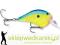 Wobler Rapala DT FAT 7cm-F/18g, Kolor: PRT