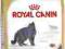 ROYAL CANIN BRITISH SHORTHAIR - 2kg.